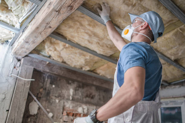 Best Specialized Insulation Services in Murrysville, PA