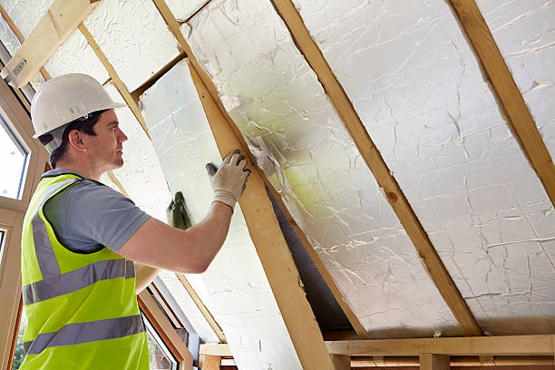 Best Insulation Maintenance and Repair in Murrysville, PA